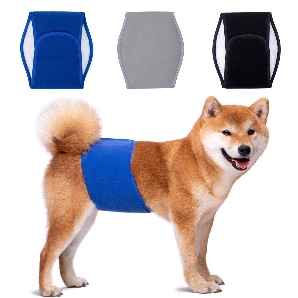 Roupa Íntima Masculina/Calça Fisiológica Impermeável Lavável Para Animais De Estimação/Cachorros/Filhotes