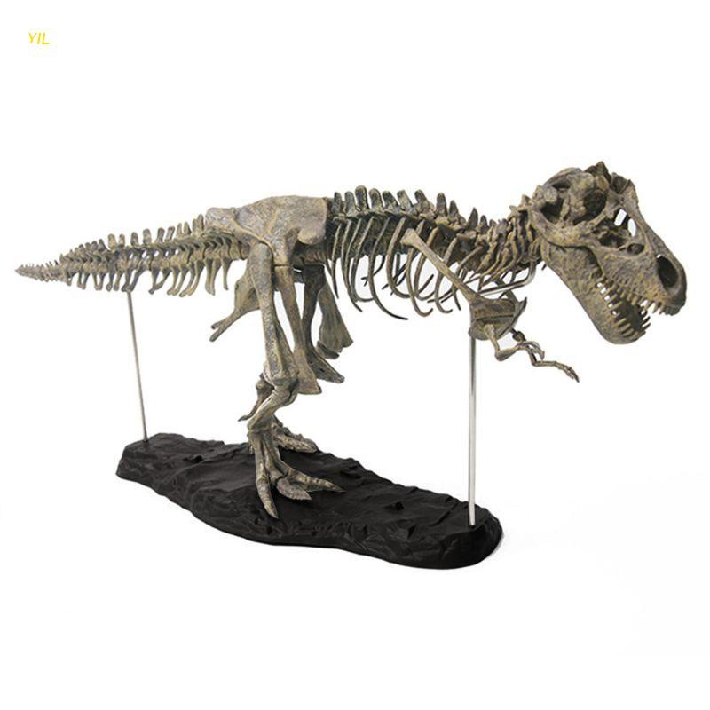 Esqueleto de Tyrannosaurus Editora Alto Astral 