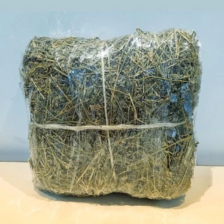 1 kg de Feno De Alfafa Premium Fresco e Verdinho para Coelho Porquinho da Índia e outros roedores