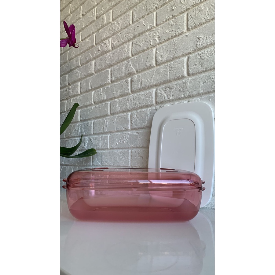 Tupperware Microplus Retangular 1,7 litros Goiaba | Shopee Brasil