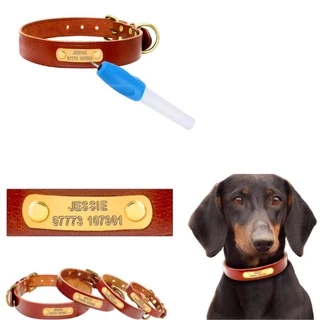 Caneta de Gravação Para Gravar Coleiras De Cachorro Profissional Alta Qualidade Prática e Utilizável Azul e Branca