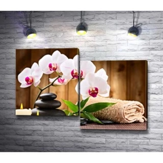 Quadros Decorativos de Orquídeas brancas Decoração De Quarto e Sala orquídeas brancas Kit 2pcs 5