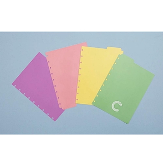 Divisórias Pastel CADERNO INTELIGENTE - A5 Médio e Grande