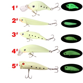 5pçs Kit Isca Artificial Luminosa De Pesca Iscas Tamanho Misto