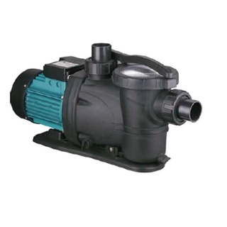 Motobomba Piscina Xkp 305 1/4 Hp Monofásico Lepono