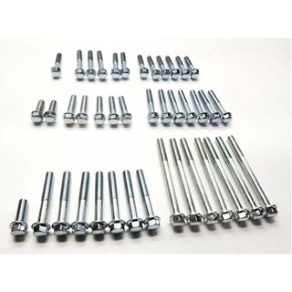 Kit Parafusos Motor 41 Peças Honda Titan 150 2004/2008 ZINCADOS