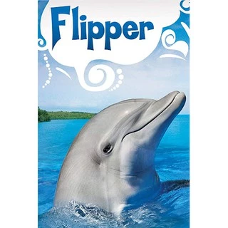 Flipper - seriado 1964 (Leia descrição*)