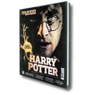 100 RESPOSTAS HARRY POTTER, 100 RESPOSTAS HARRY POTTER Revi…