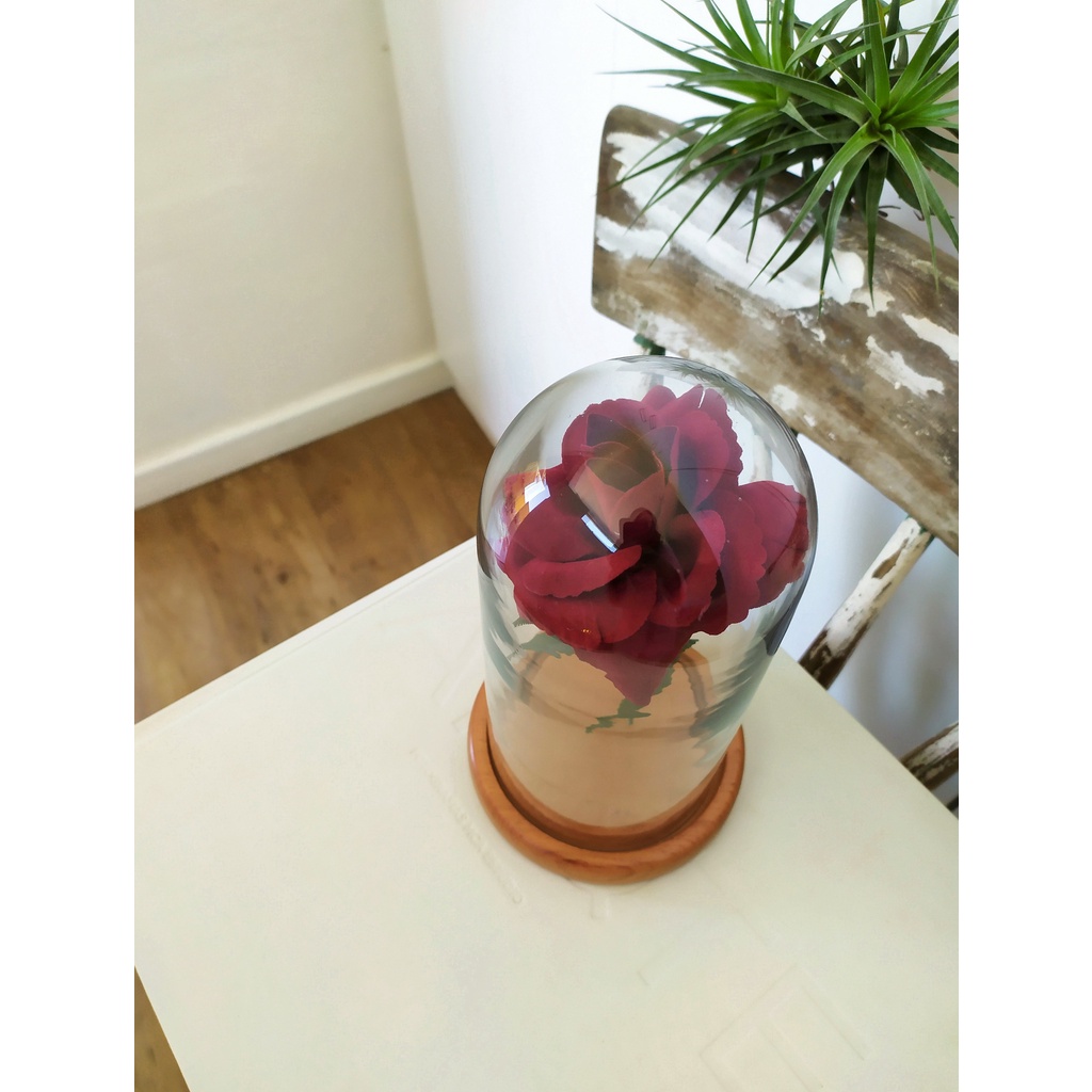 Redoma Com Rosa A Bela E A Fera Decoração Cúpula O Pequeno Príncipe ...