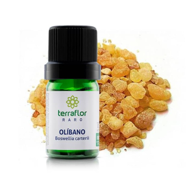 Oleo Essencial Olíbano 5ml | Shopee Brasil