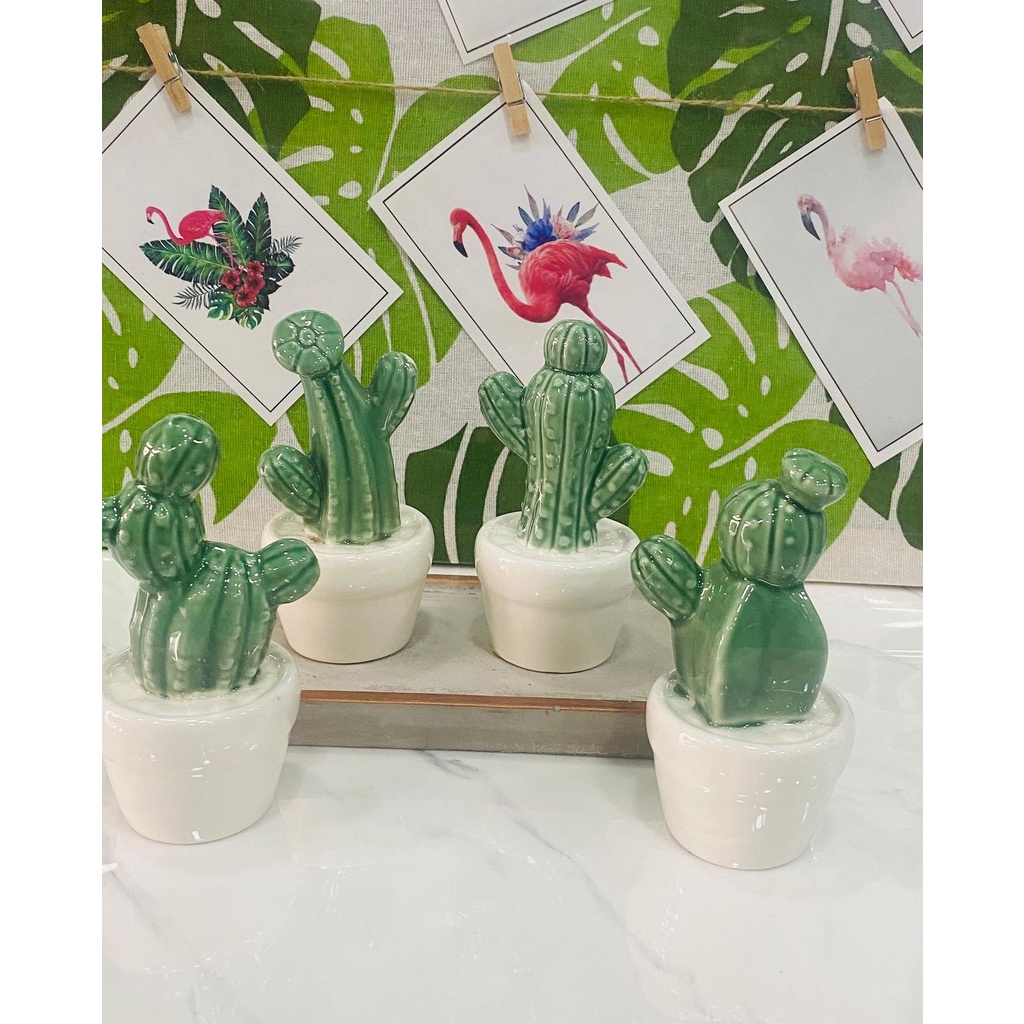 cactos em vasos isolados no fundo branco. cacto com vasos de terracota para  decoração de interiores em estilo cartoon. conceito de planta de casa  natural. ilustrações, ícones e design de interiores lisos