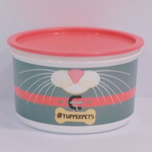 Tupperware Pote Master 1,5 litros gatos Shopee Brasil