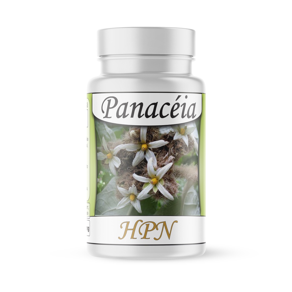 Panacéia (Solanum cernuum) Erva Medicinal Pura 500mg