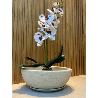 Vaso Planta Bacia Com Prato Escovada Nº1 - 13x26x26