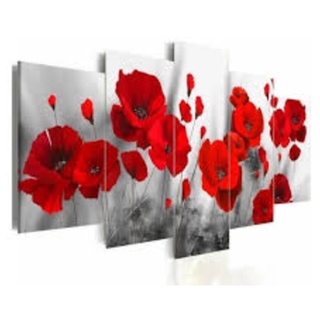 quadro papoula vermelha 5 peças