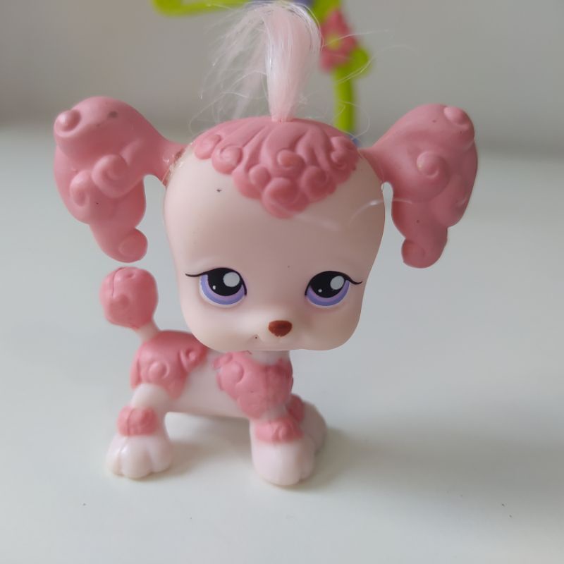 LPS Littlest pet shop poodle | Shopee Brasil