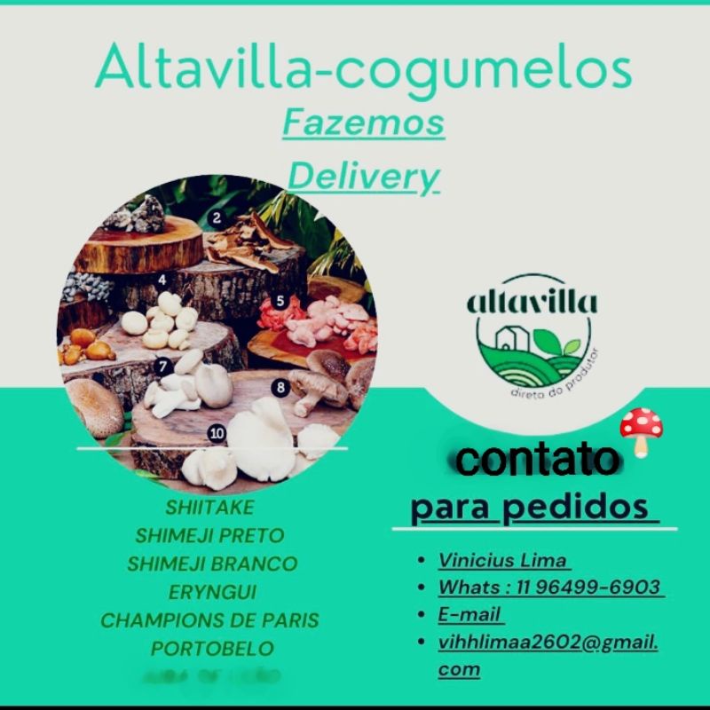 Cogumelos altavilla