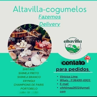 Cogumelos altavilla