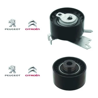Tensor E Polia Correia Dentada Peugeot 307 308 407 2.0 16v