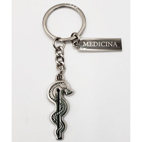 Chaveiro de Metal Símbolo da Profissão Com Plaquinha Nome Chaveiro Chaveiro de Profissão Chaveiro Medicina Enfermagem Engenharia Administração Arquitetura Chaveiro para Estudantes