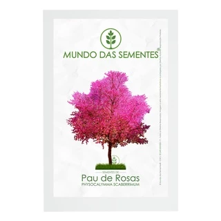 10 Sementes de Pau de Rosas Physocalymma scaberrimum | Premium | Mundo Das Sementes®