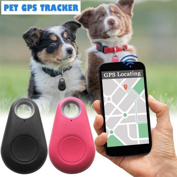 Pet Rastreador Bluetooth Inteligente Câmera Gps Cão Localizador De ...