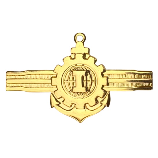 Manicaca DE INSTRUTORIA - Brevê Técnica de Ensino MB