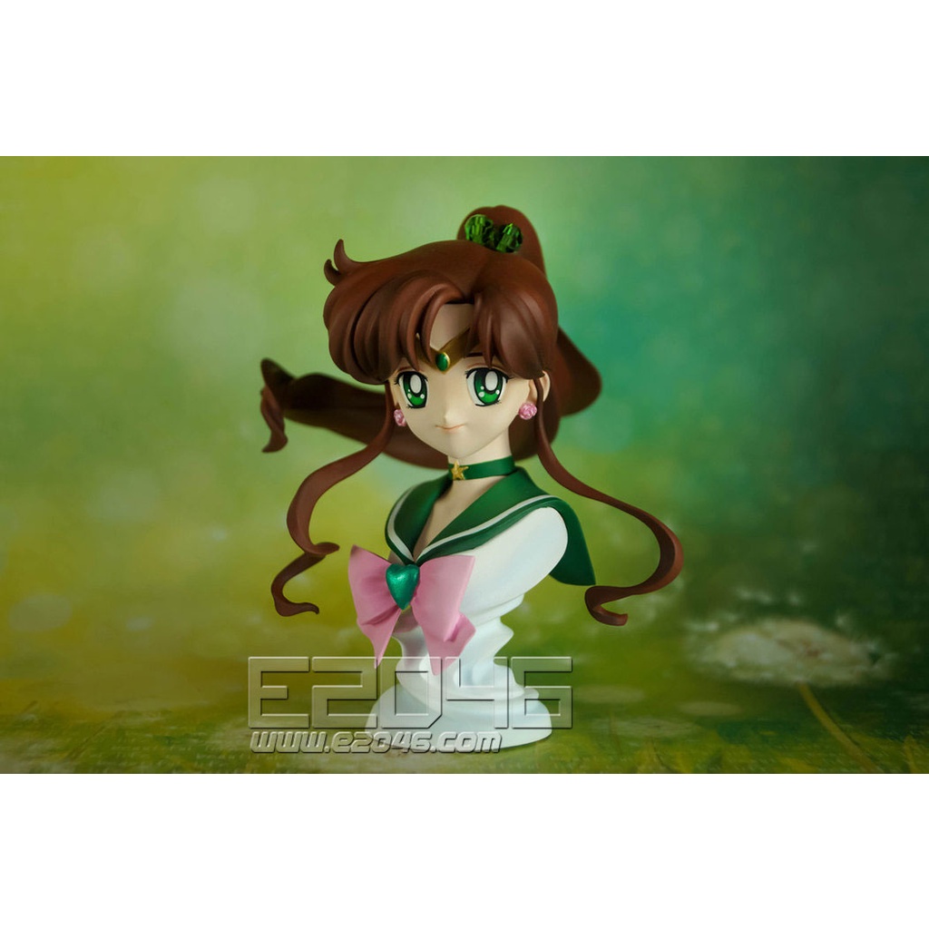 Sailor Moon - Sailor Jupiter Garage Kit | Shopee Brasil