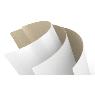 Papel Cartão Duplex 250g A4 100 Unidades