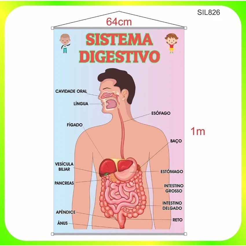 banner-pedag-gico-impresso-escolar-sistema-digest-vo-sil826-paxart