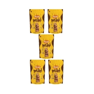 Kit com 5 Mini bombom com amendoim zero 60g Flormel
