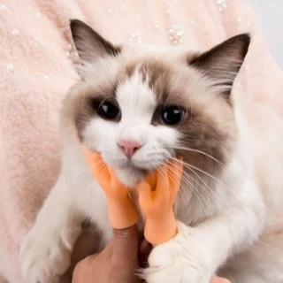 Par de Mãozinhas Brinquedo Pet Cachorro Gato