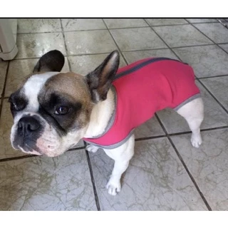 Roupa Pós Cirúrgica Para Cães