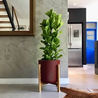 Suporte leg Cachepot de Madeira pinus, Suporte para vaso de planta, porta vaso, bandeja para vaso de planta
