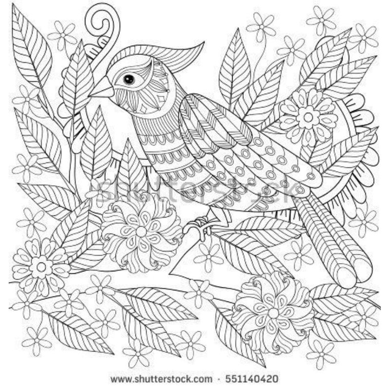 50 Desenhos para Colorir Pintar para adultos Lindos Desenhos De Animais  Mandala para Relaxar Arteterapia 50 Folhas A5