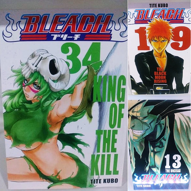 BLEACH Manga Volume 19