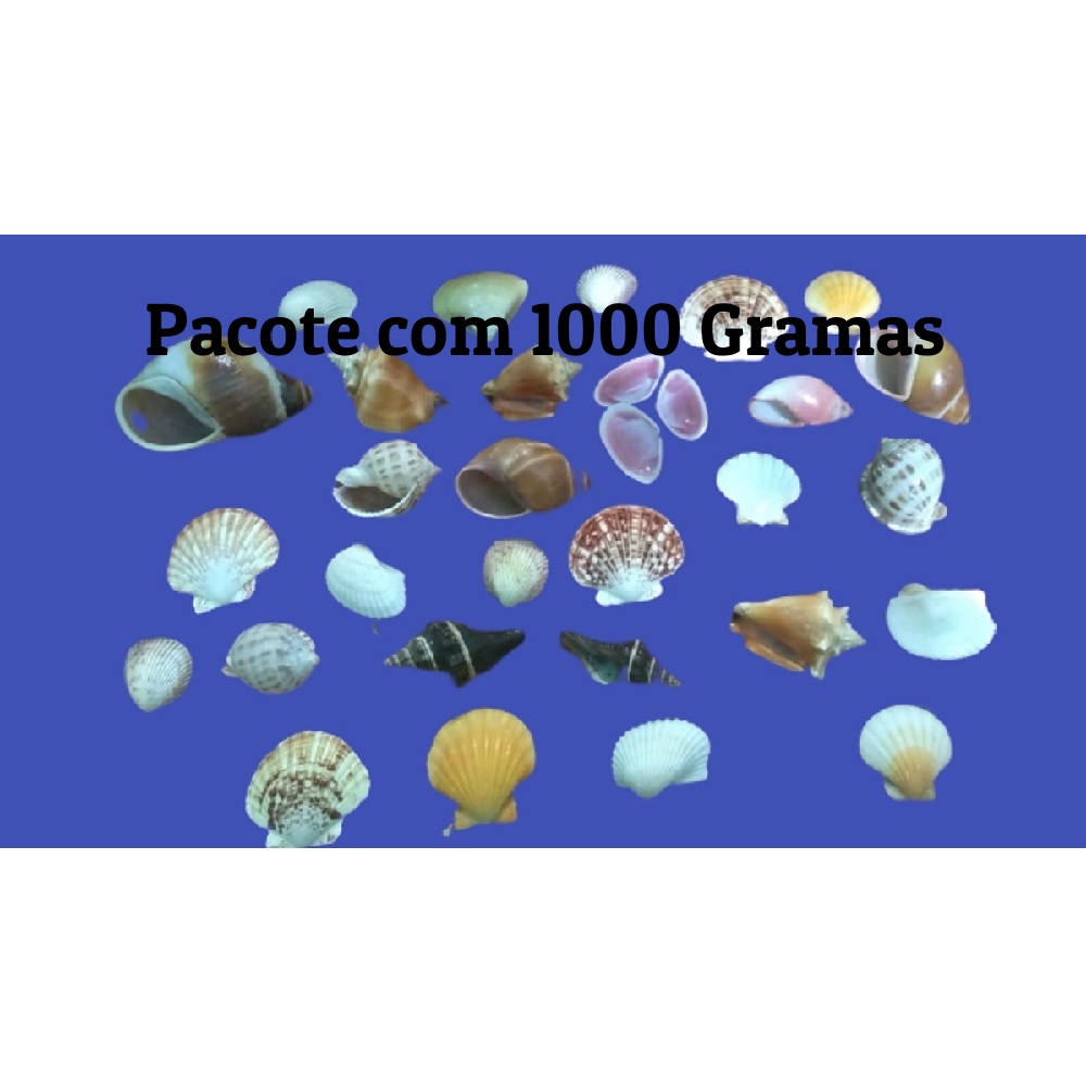 Conchas do Mar Naturais - Mix - Pacotão com 1000 Gramas - Conchas Marinhas  - Conchas Verdadeiras - 100 % Naturais - Conchinhas Praia | Shopee Brasil