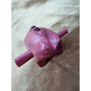 Sapo reco reco pequeno cada