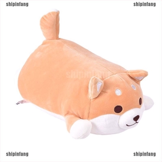 Corgi miniso best sale