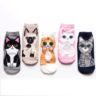 Kawaii Meias Maré Dos Desenhos Animados Cão Gato Bonito Boca Rasa Barco Curtas Engraçados Das Mulheres Casuais De Algodão Feliz