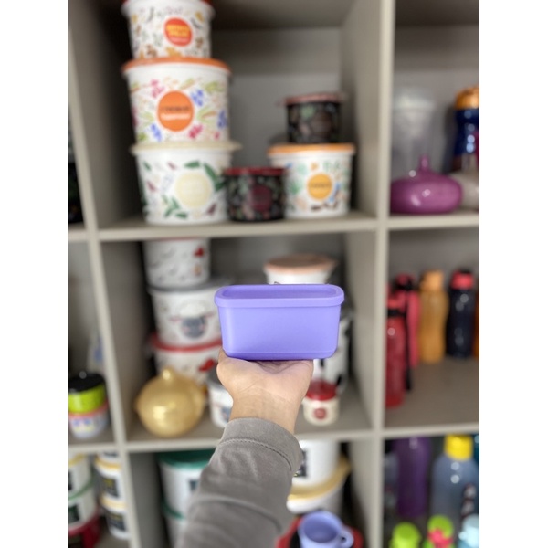 Tupperware Mini Refri Line 250ml | Shopee Brasil