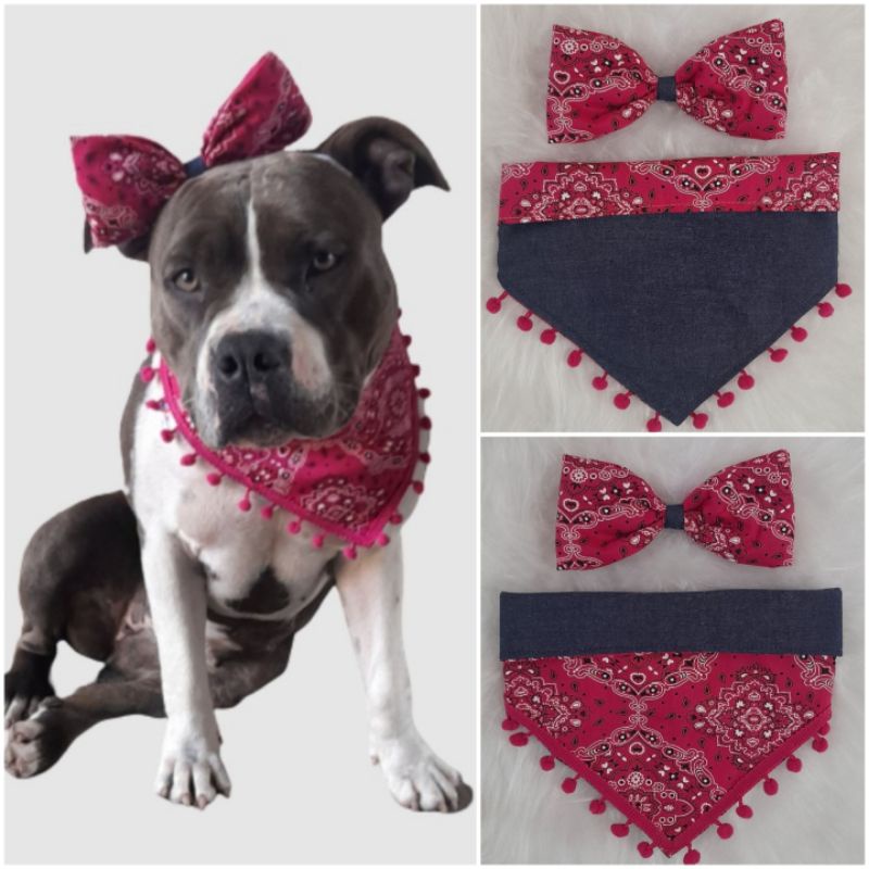 Bandana e laço pandinhas fofinhos dupla face rosa para pet