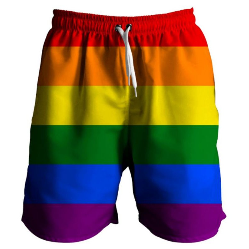Lisa bandeira LGBT Flag #shorts 