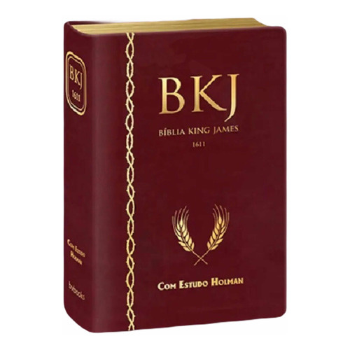  Biblia Thompson AEC - Letra Grande - Em Portugues do Brasil -  Luxo Preta - Concordancia - Mapas - Estudos Biblicos: 9788000003634: Libros