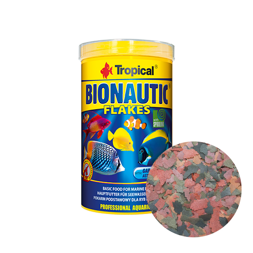 Dorsetti Exacompta Serodo 18 Mm Per Rilegare A4 - Confezione Da 15 Pezzi