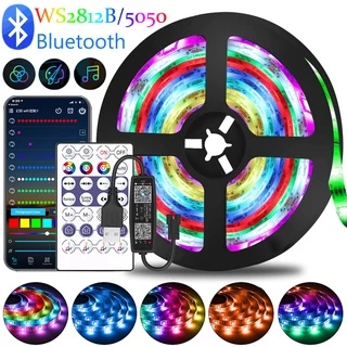 Fita LED Luzes 5m-30m RGBIC WS2812B/RGB 5050 Bluetooth Controle De Aplicativo Diodo Para Decoração De Sala De Luz Traseira