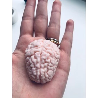 Forma cérebro