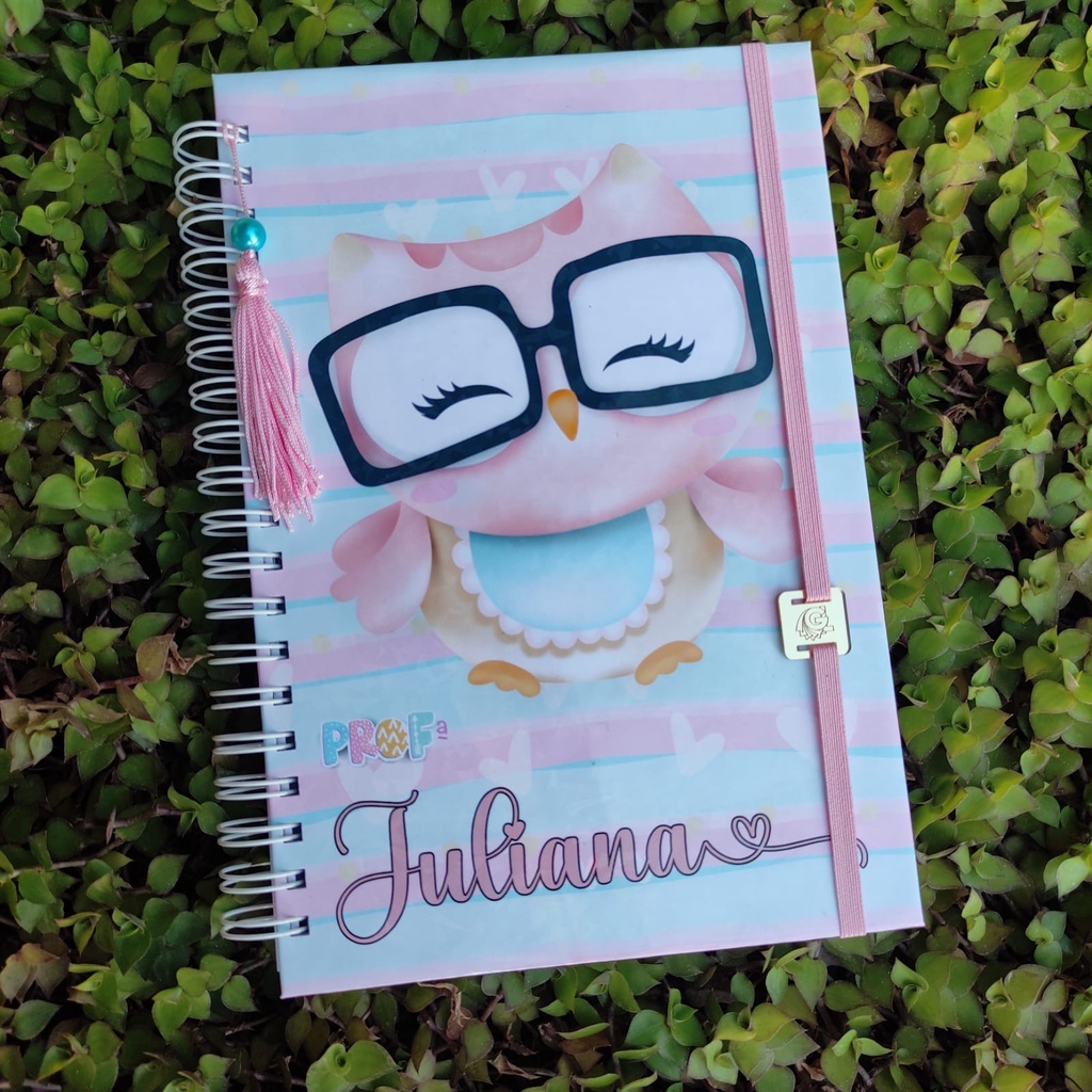 Caderno de Planejamento anual Professor / Planner anual Professor ...