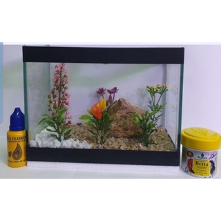 Kit Beteira P/Peixe Betta Ração +Rede +Anti Cloro+Redinha+Folha Descanso Kit Completo Para Seu Peixe Betta/OBS Decoração Variada