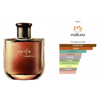 Perfume Biografia Assinatura Natura Masculino - 100ml Original e Lacrado